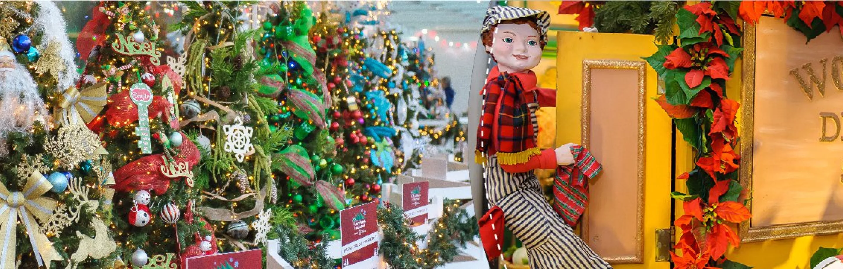 Christmas trees and Woodwards display