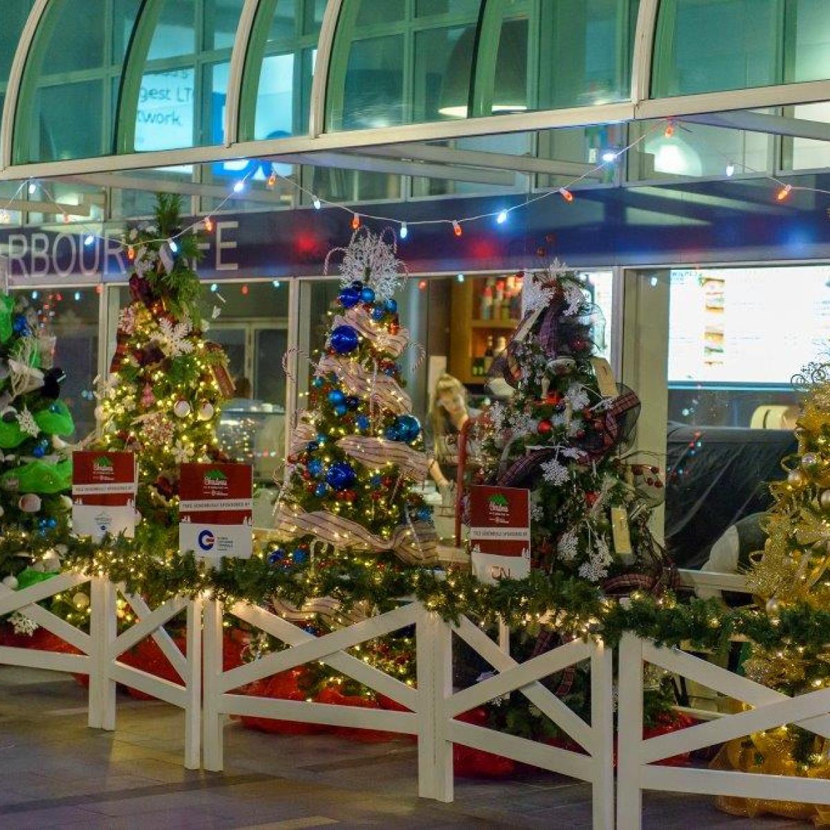 Christmas trees at Canada Place